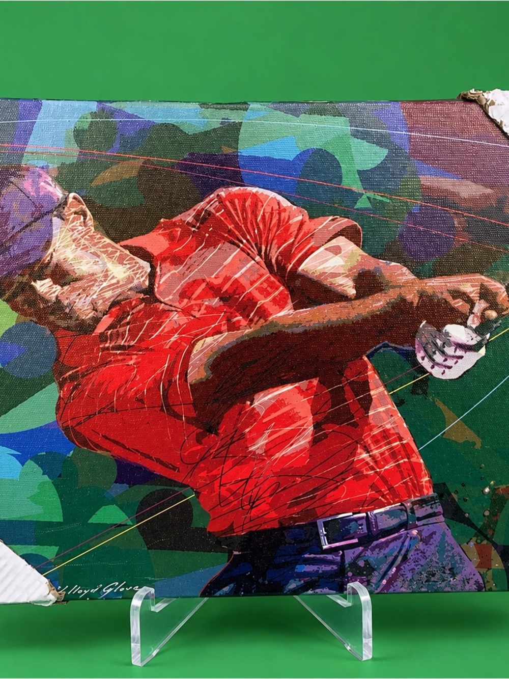 Tiger Woods Golfer Canvas Art